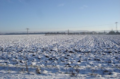 Blick vom Haus nach Süden